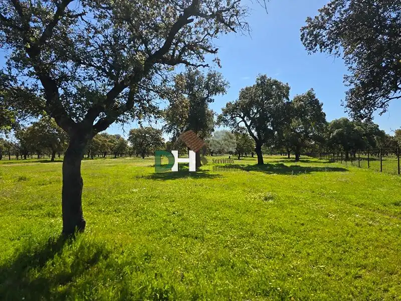Terreni e lotti in vendita a Carretera de Sevilla - Los Montitos