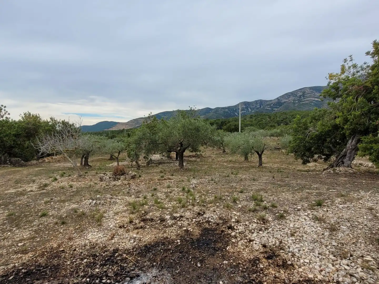 Country house for sale in Alcanar, imagen 12