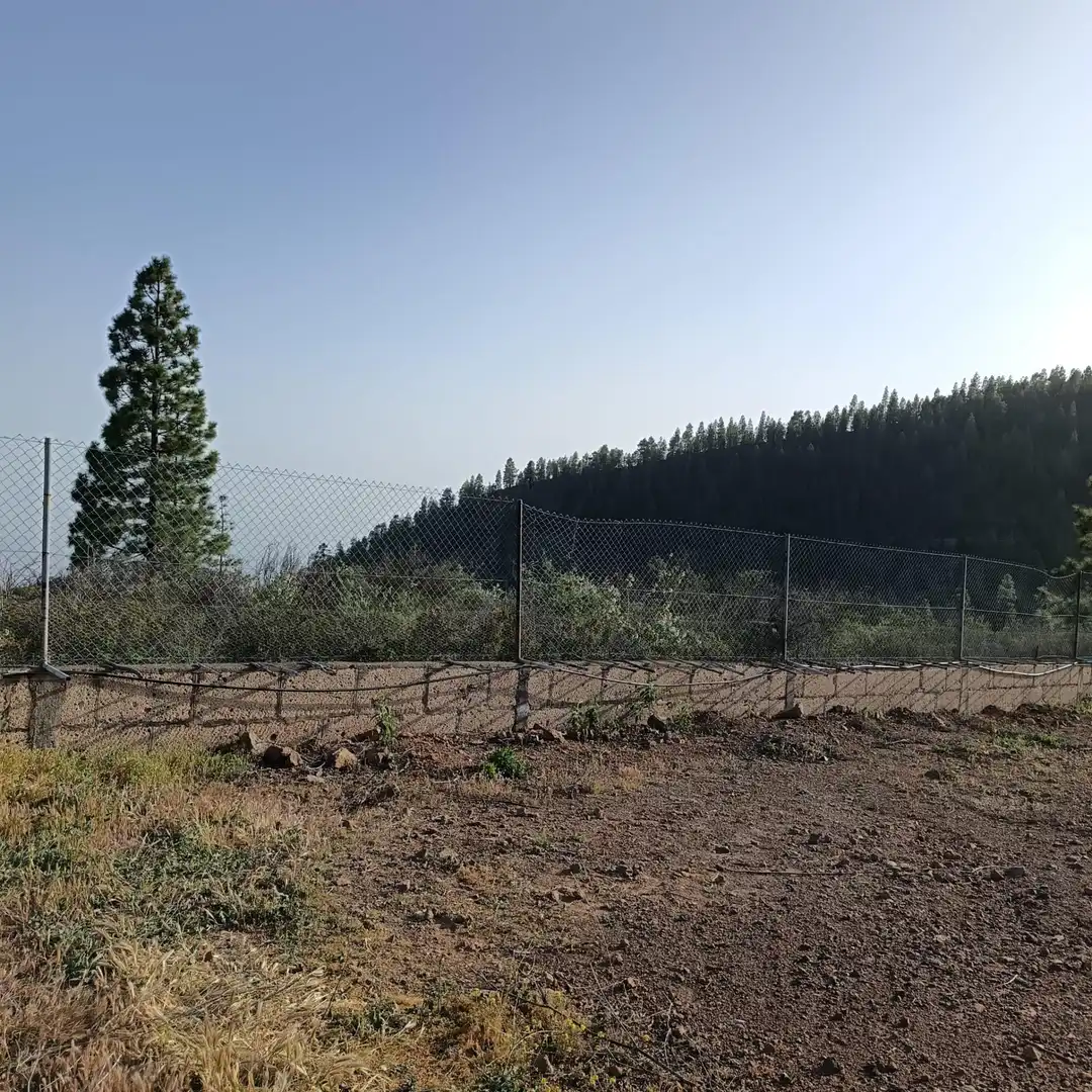Finca rústica en venda en Granadilla de Abona