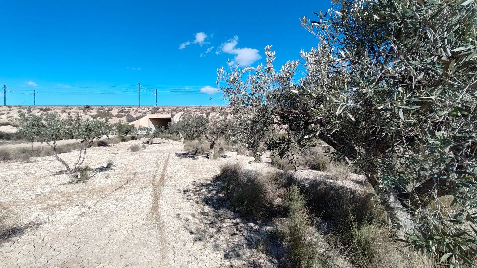 Terreno rustico in vendita a Campo Alto - Club de Campo, imagen 10
