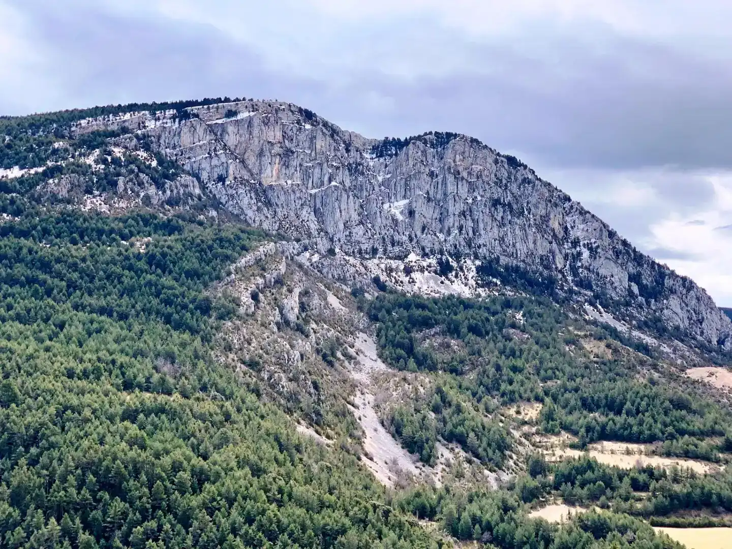 Vista exterior de Finca rústica en venda en Fígols i Alinyà