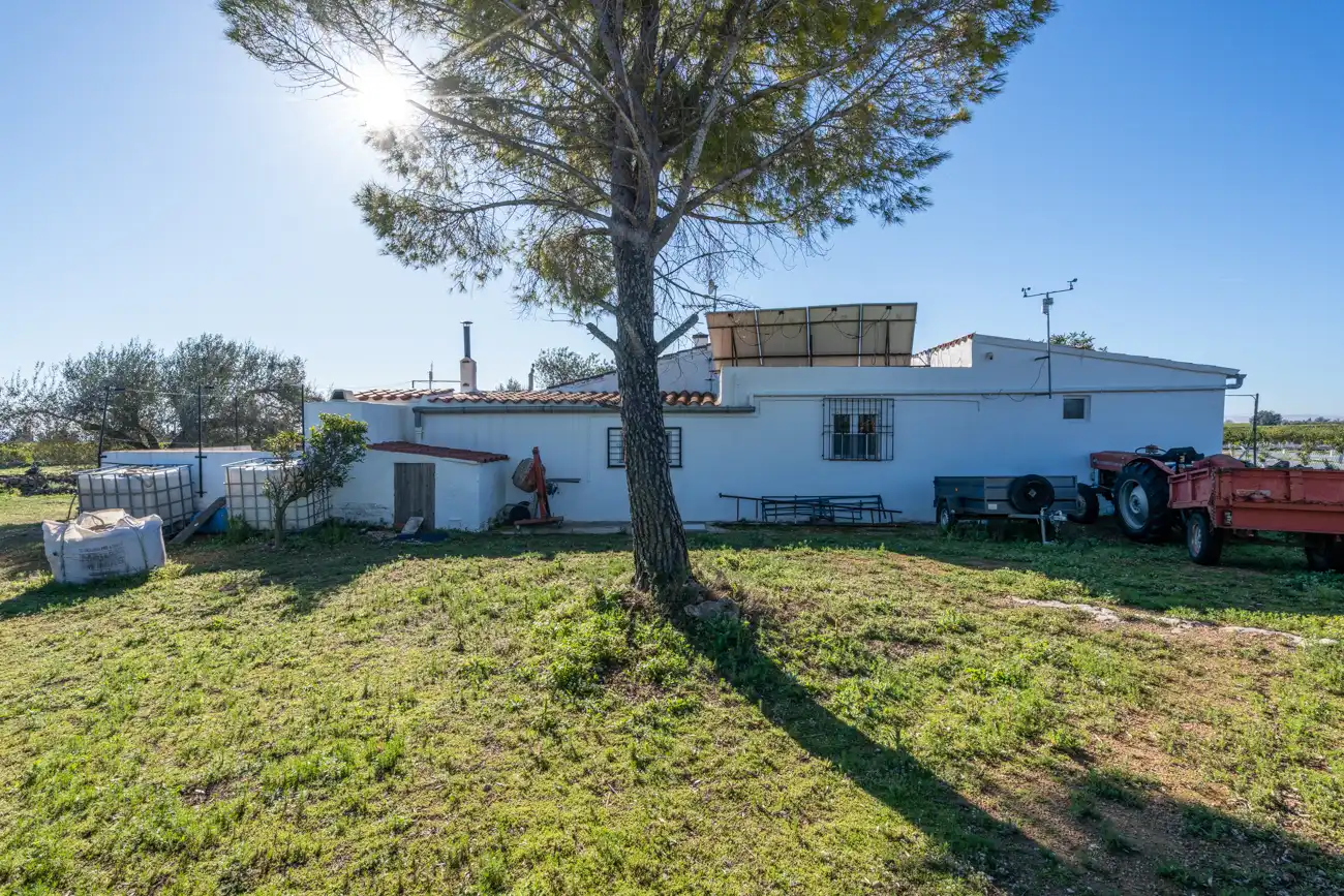 Jardín de Finca rústica en venta en Roquetes con Amueblado