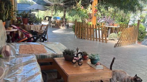 Finca en Reus con vivienda urbana., imatge 5