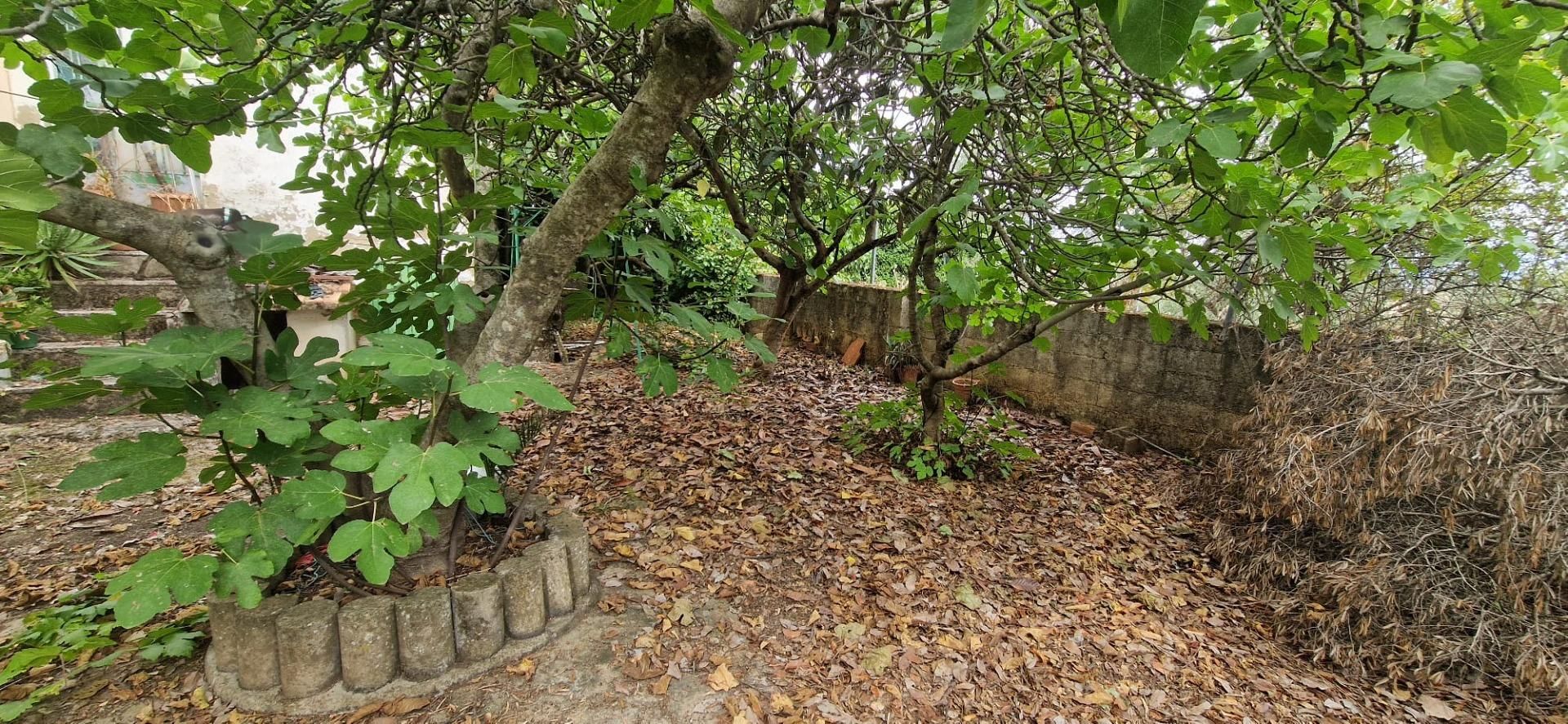 Casa o xalet en venda en Cáceres Capital amb Traster