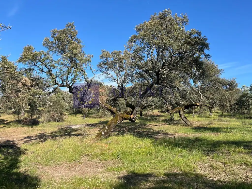 Casa o chalet en venta en Herguijuela
