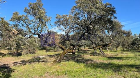 Foto 5 de Casa o xalet en venda a Herguijuela, Cáceres