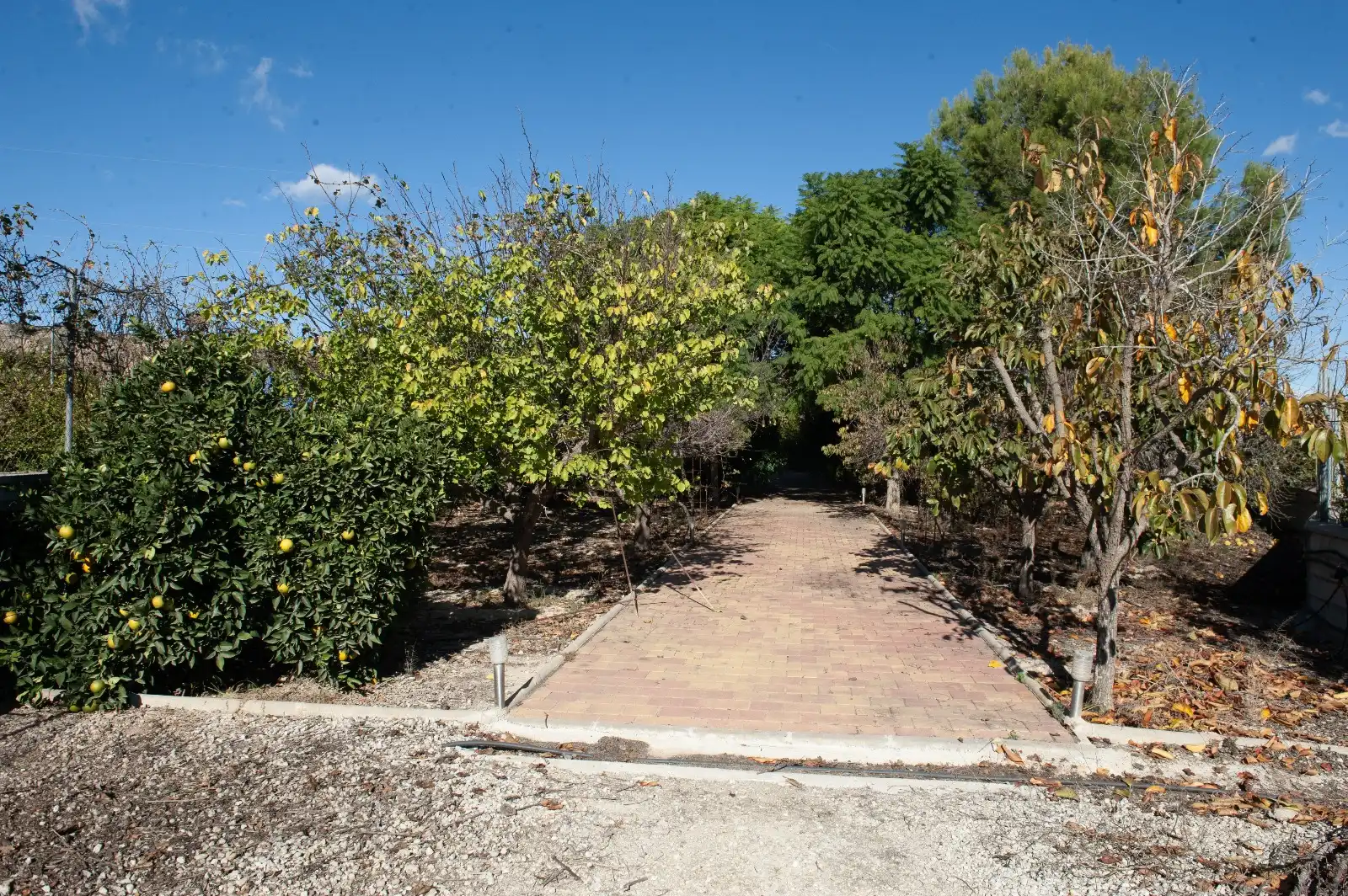 Villa con giardino in vendita a Calle Montalbán, imagen 23