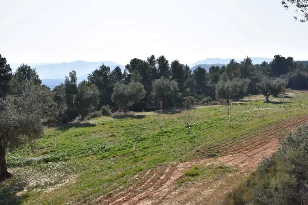 Country homes for sale in La Fresneda