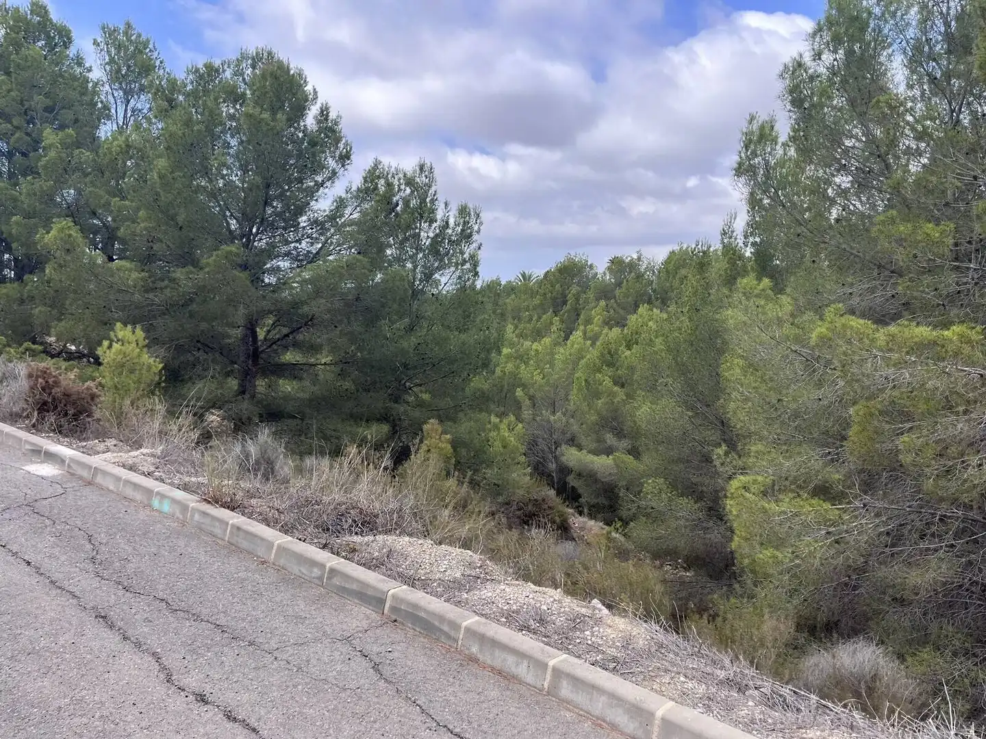 Terreny residencial en venda a Callosa d'en Sarrià, imagen 2