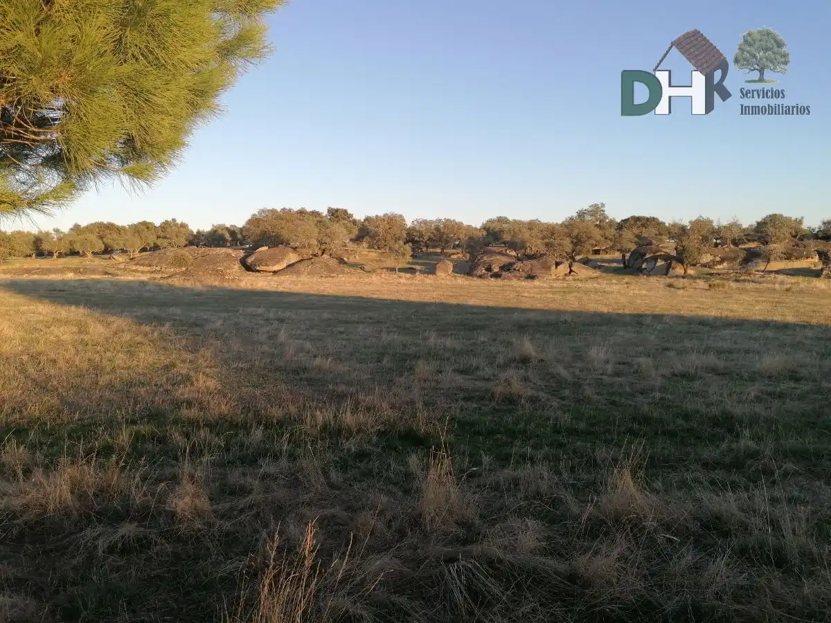 Terreni e lotti in vendita a ja del Valle