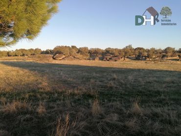 Terrenos y solares en venta en ja del Valle