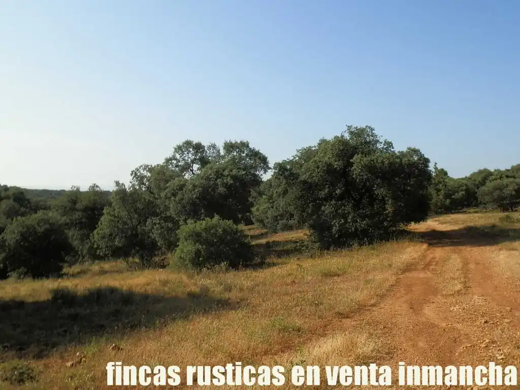Terreno en venta en Alcaraz