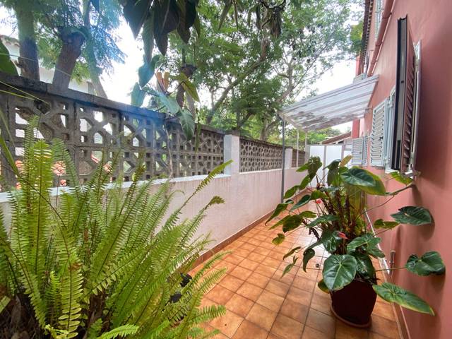 Estudio en Alquiler en Carretera a los Olivos en Monte Lentiscal - Las Meleguinas