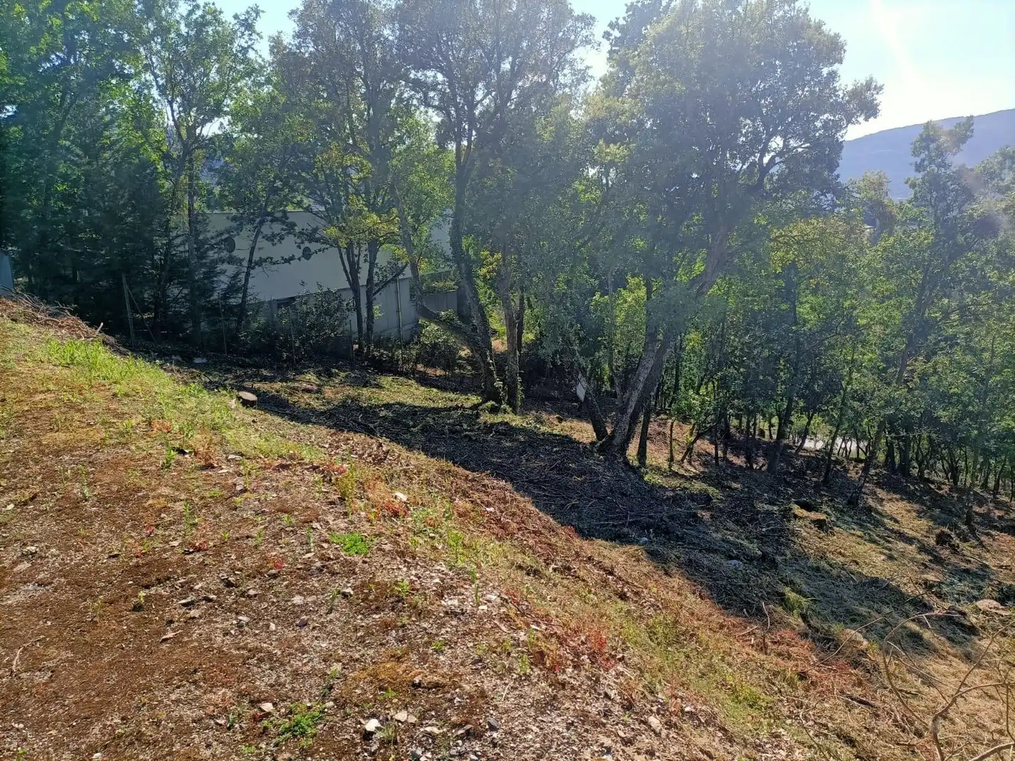 Terreni e lotti in vendita a San Rosendo, imagen 5