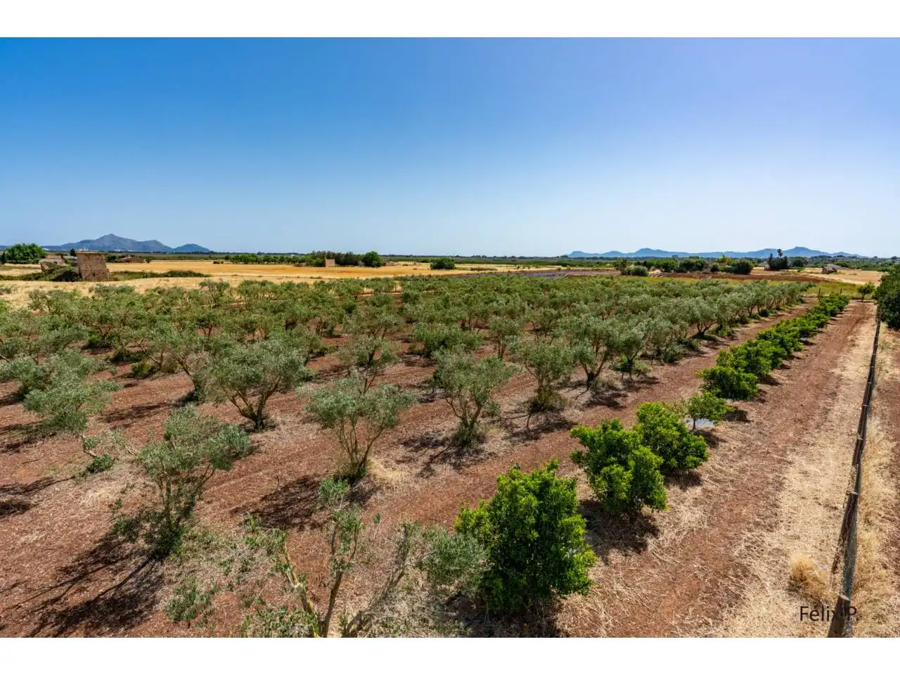 Finca rústica en venda en Muro amb Aire condicionat, Jardí privat i Terrassa
