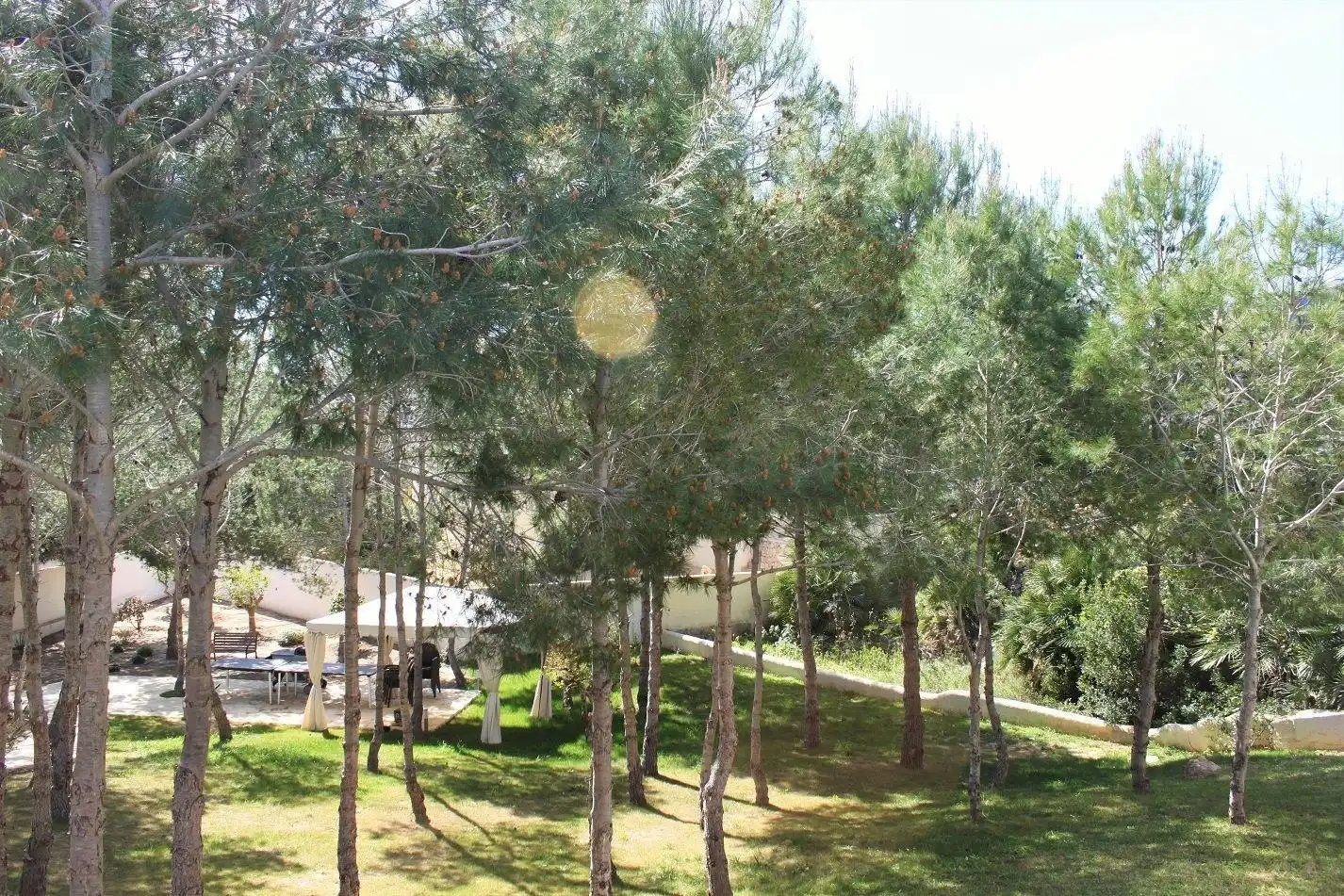 Apartament amb piscina en venda a Cumbre del Sol, imagen 50