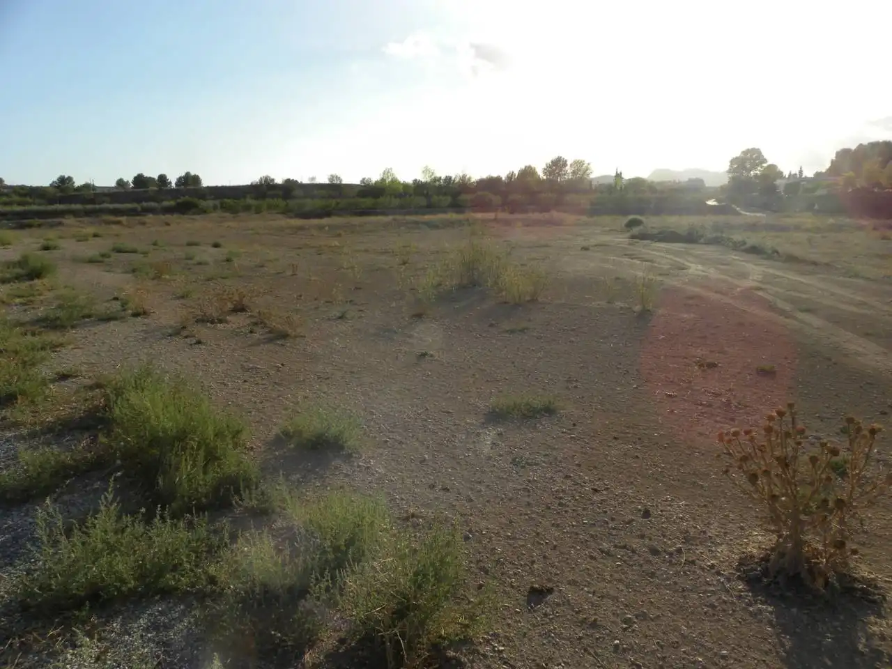 Residential land for sale in Caravaca de la Cruz, imagen 19