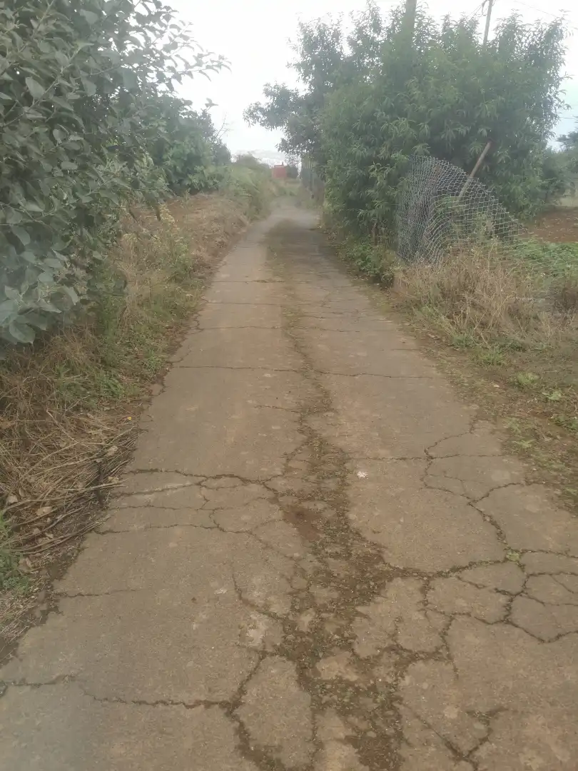 Terreno rustico in vendita a Camino Lomo Alto 8, imagen 4