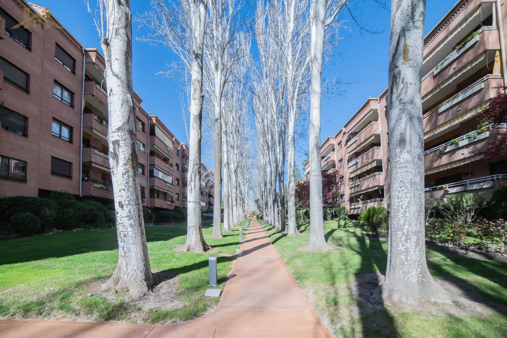 Piso con piscina en venta en Calle Solano, imagen 35