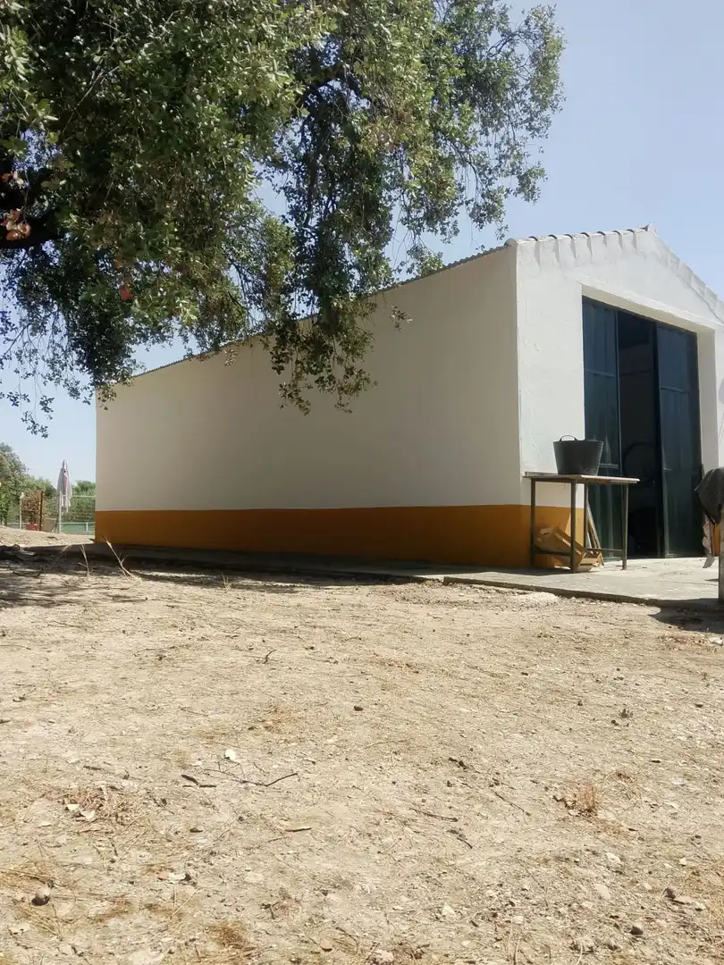 Casa rústica en venda a Prado del Rey, imagen 14