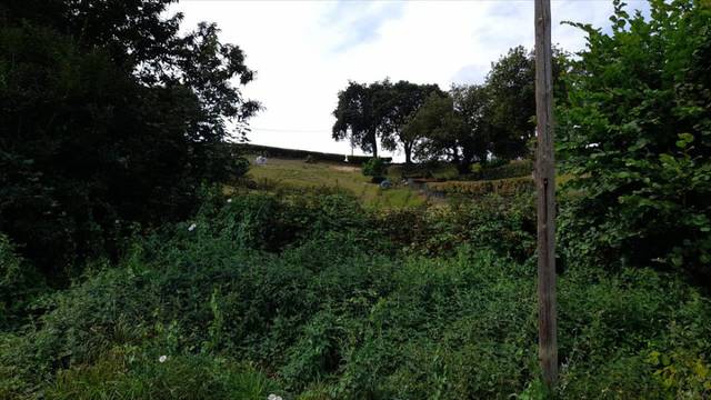 Terreno residencial en Venta en Colloto