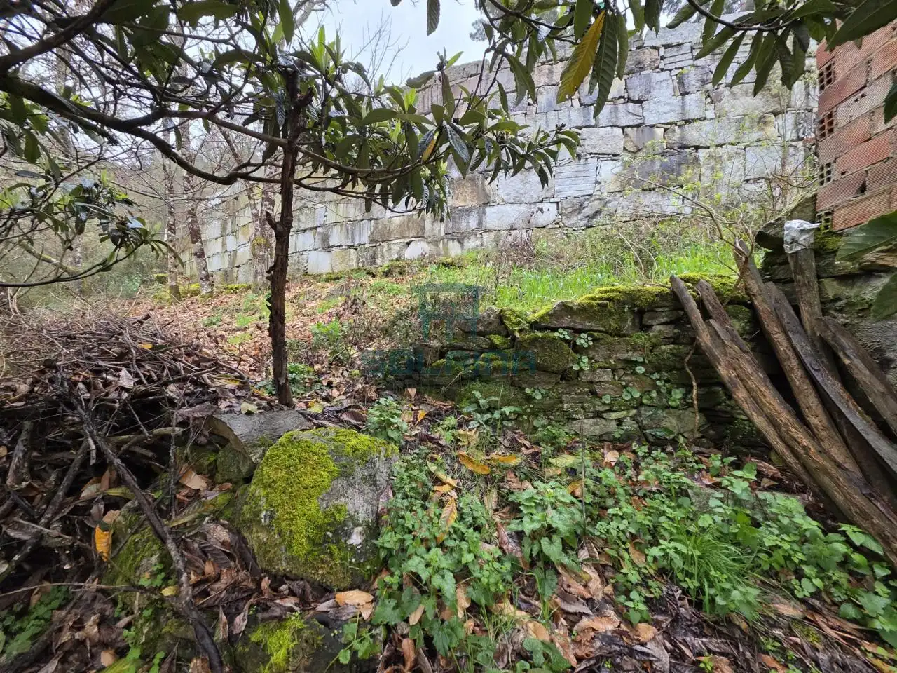 Casa o xalet en venda en Pantón amb Calefacció i Jardí privat