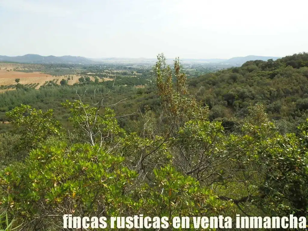 Terreny rústic en venda a Alcolea de Calatrava, imagen 15