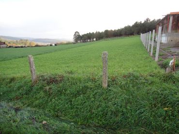 Terreni e lotti in vendita a Área de Ames