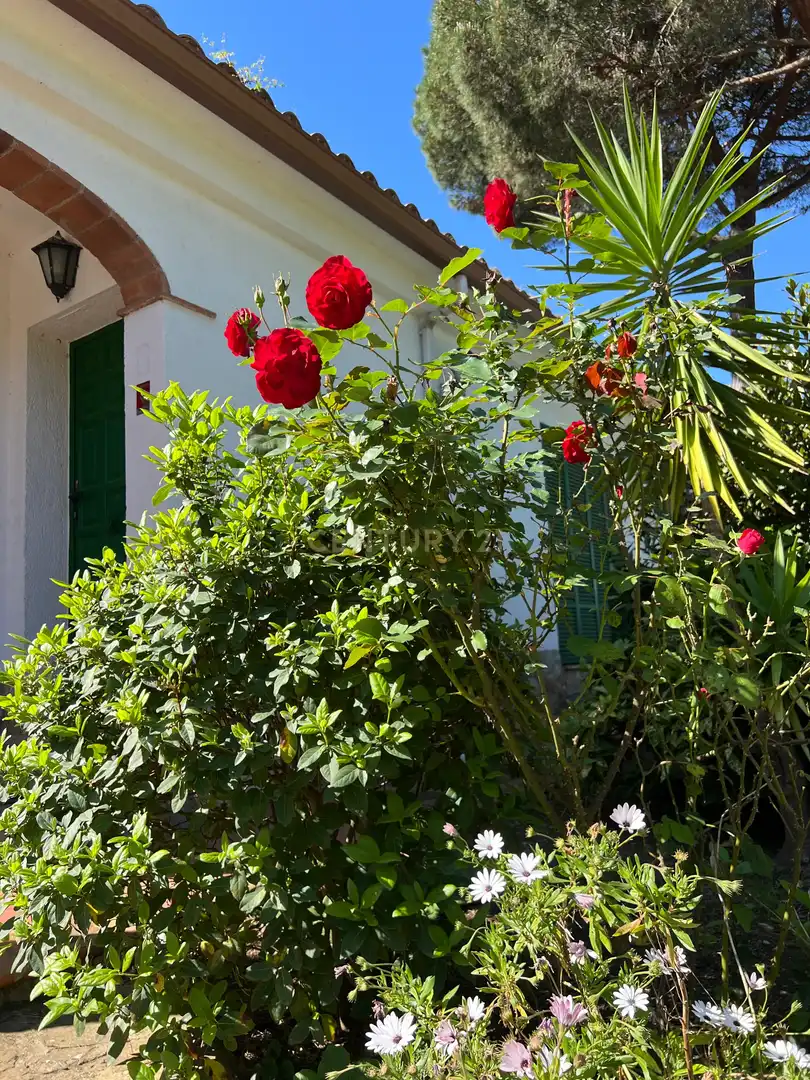 Jardí de Casa o xalet en venda en Tordera amb Jardí privat, Piscina i Alarma