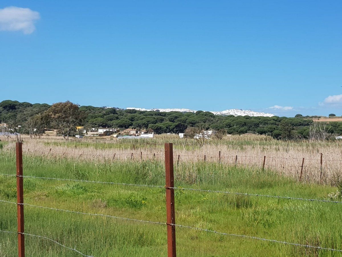 Terreno en venta en Barbate