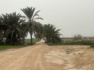 Terrenys i solars en venda a San Felipe Neri
