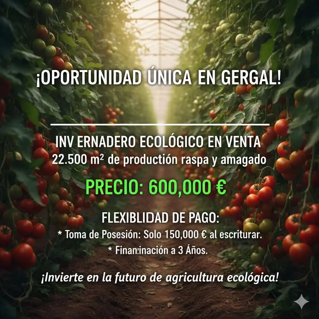 Terreno rústico en venta en Calle Ollerias 23
