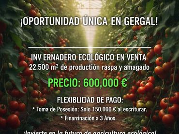 Terreno rustico in vendita a Calle Ollerias 23