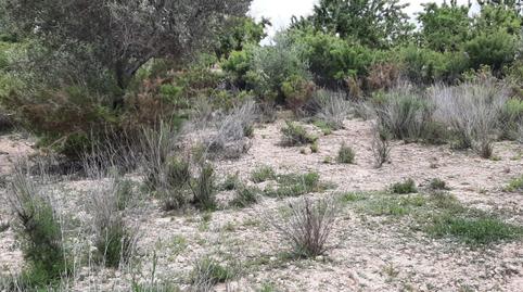 Foto 5 von Grundstücke zum Verkauf in Poligono 3-rs, 235, Villar del Arzobispo, Valencia