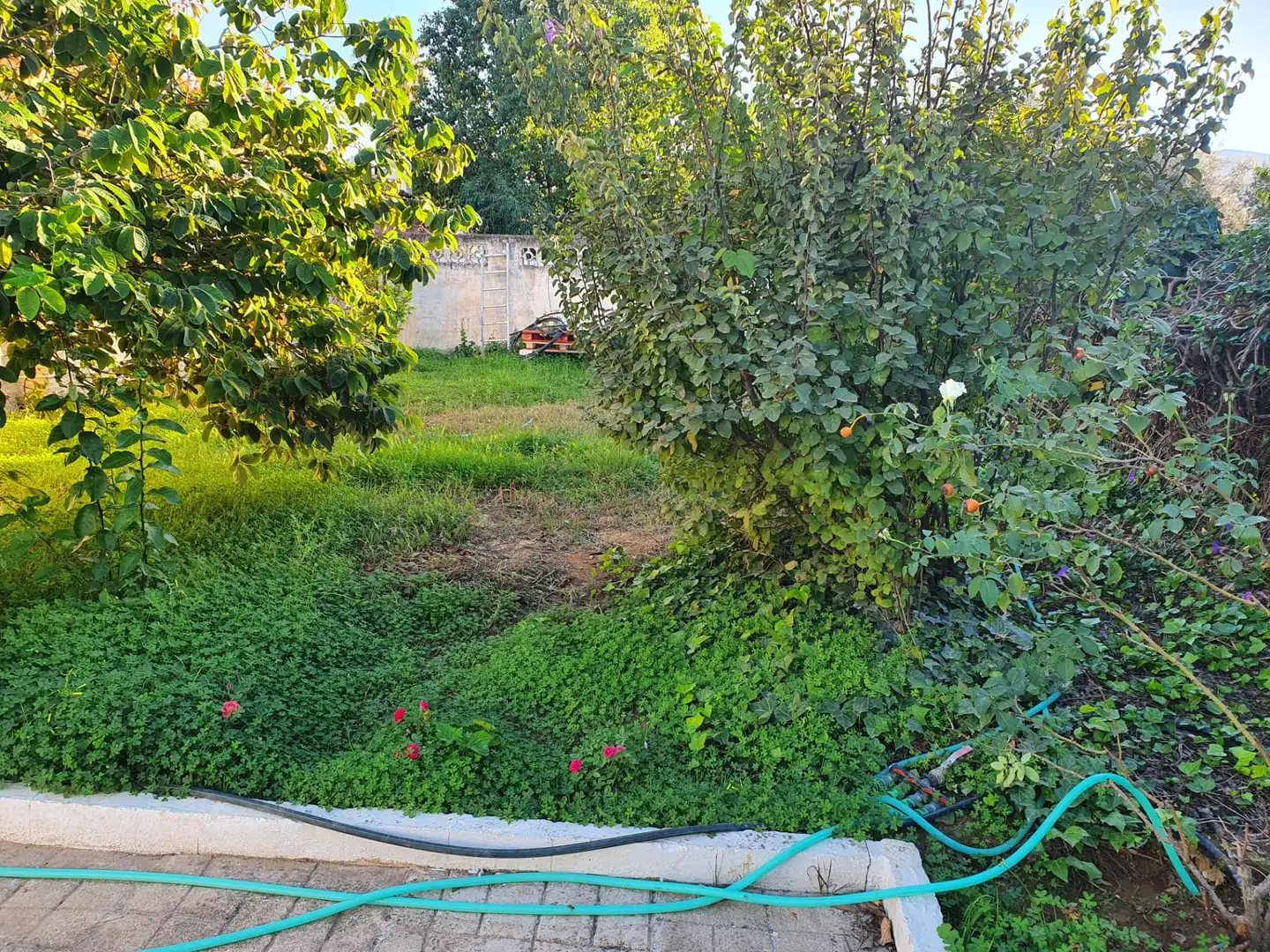 Casa rústica con piscina en venta en Buenavista - Lauro Golf, imagen 17