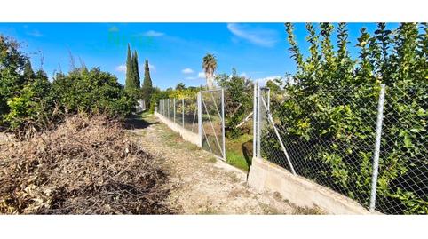 Foto 3 de Terreno en venta en Carretera Raya (nonduermas), Nonduermas,  Murcia Capital