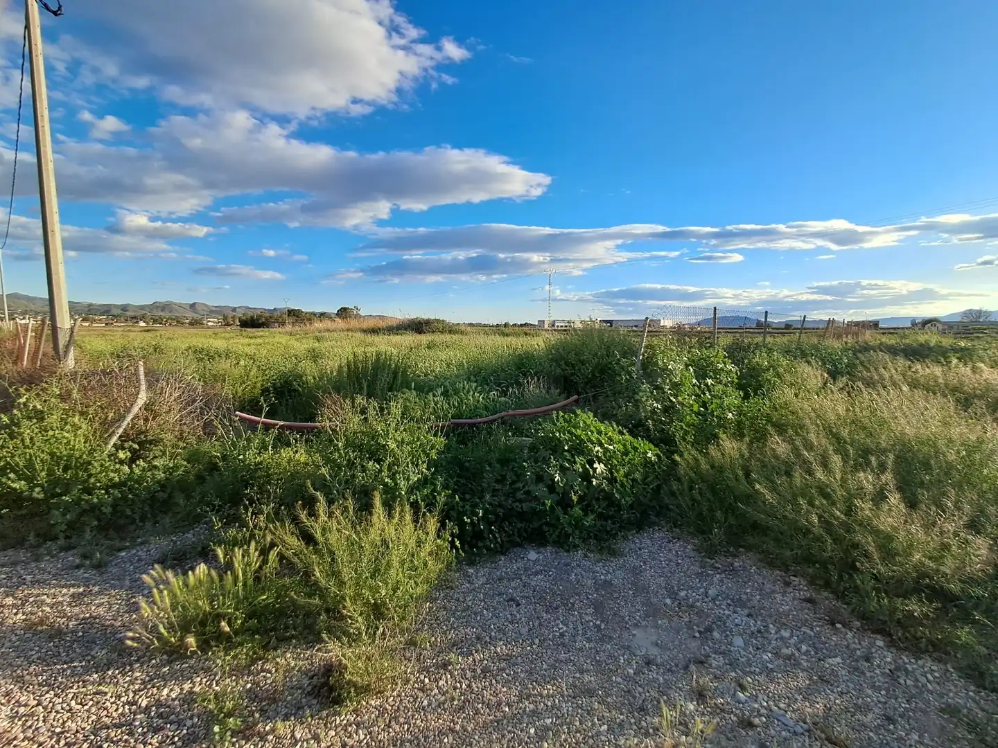 Terrenos y solares en venta en Lorca Ciudad, imagen 8