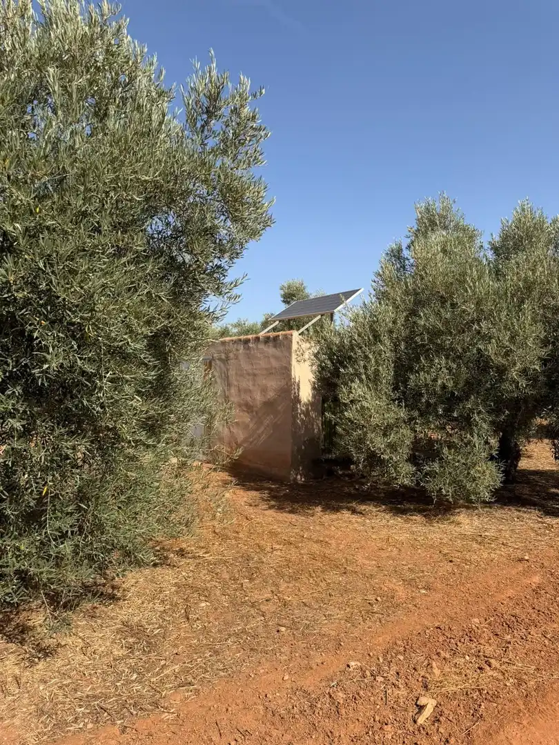 Casa rústica en venda a Fuente de Piedra, imagen 19