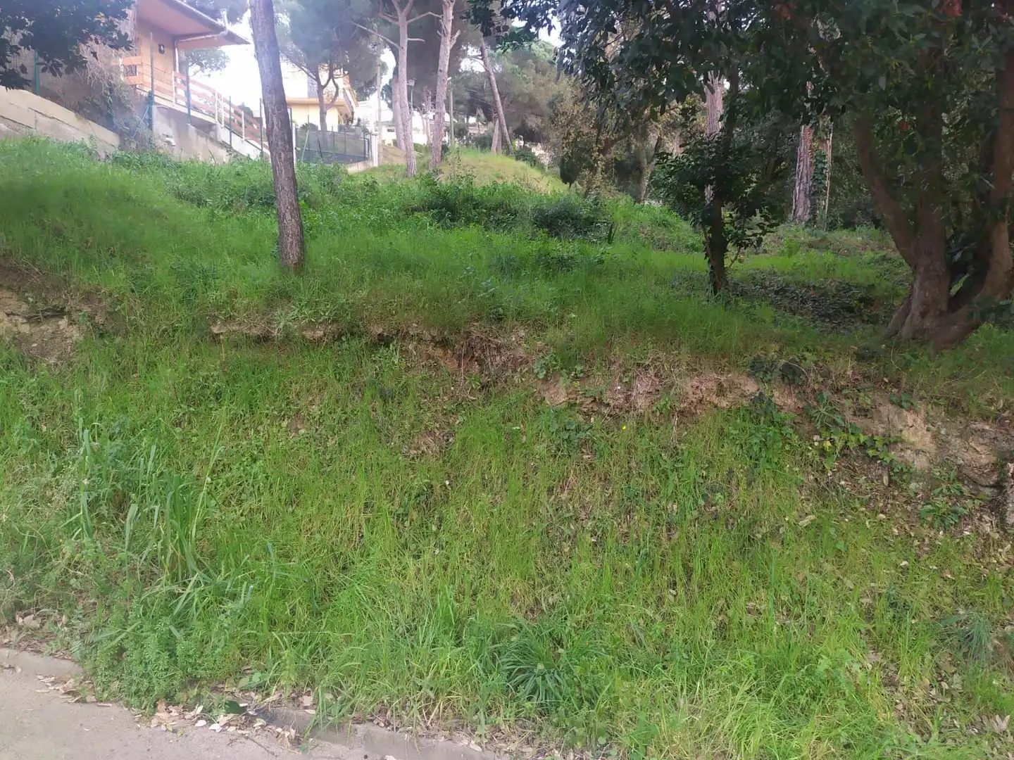 Wohnbaugrundstück zum Verkauf in Mas Mora - Sant Daniel, imagen 5