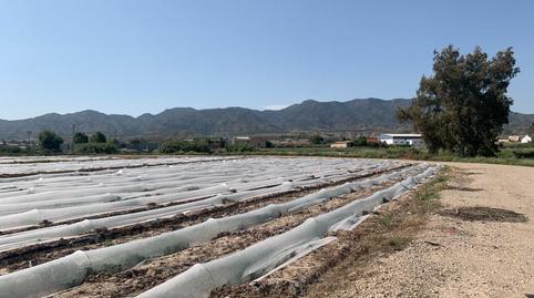 Foto 2 de Residencial en venta en La Hoya, Murcia