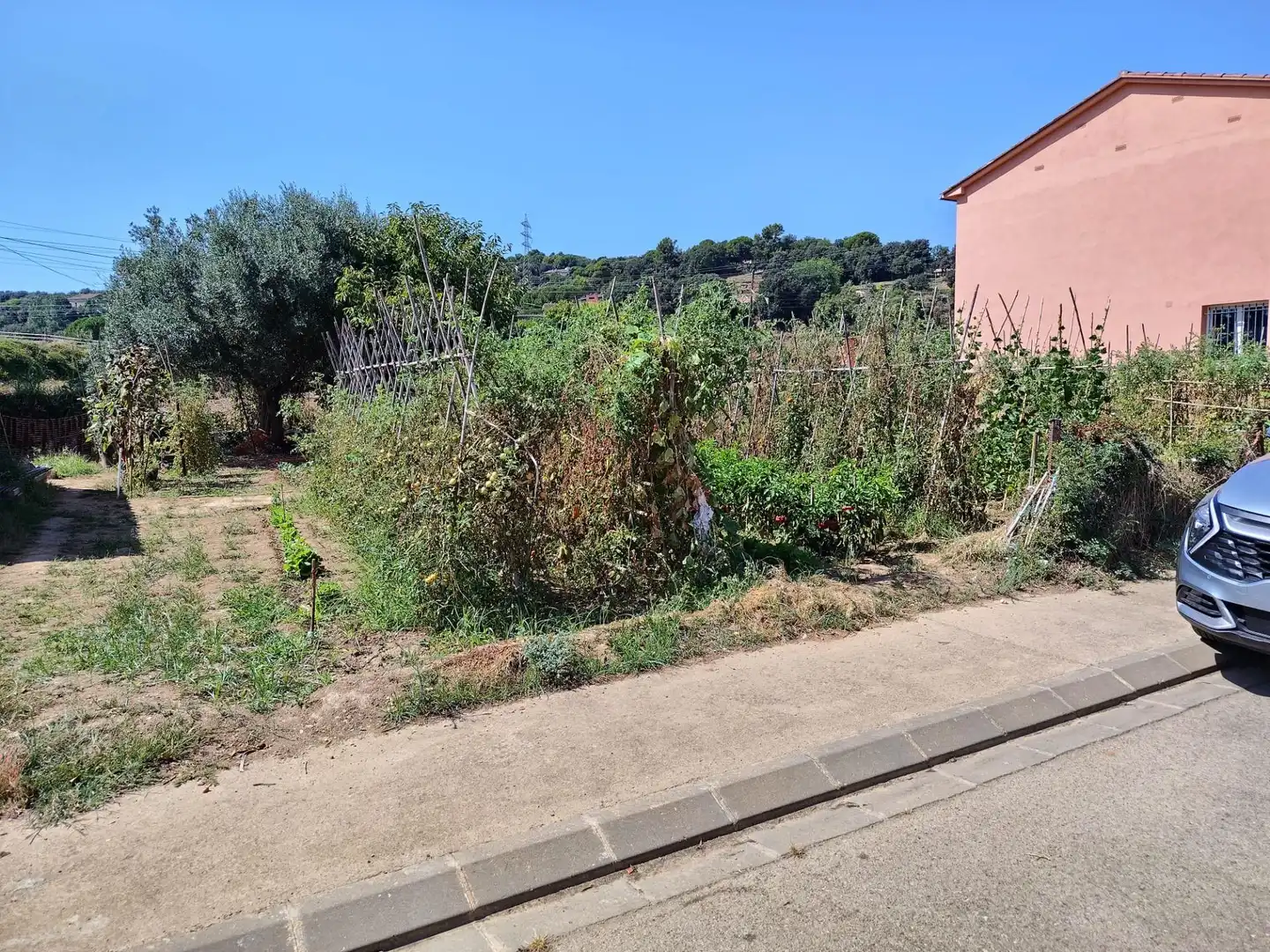 Casa con jardín en venta en Calle Miquel Marti i Pol, imagen 9