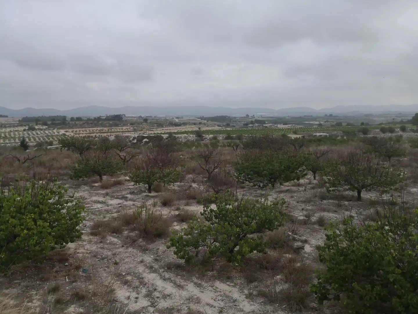Finca rústica en venta en Albaida con Jardín privado y Terraza