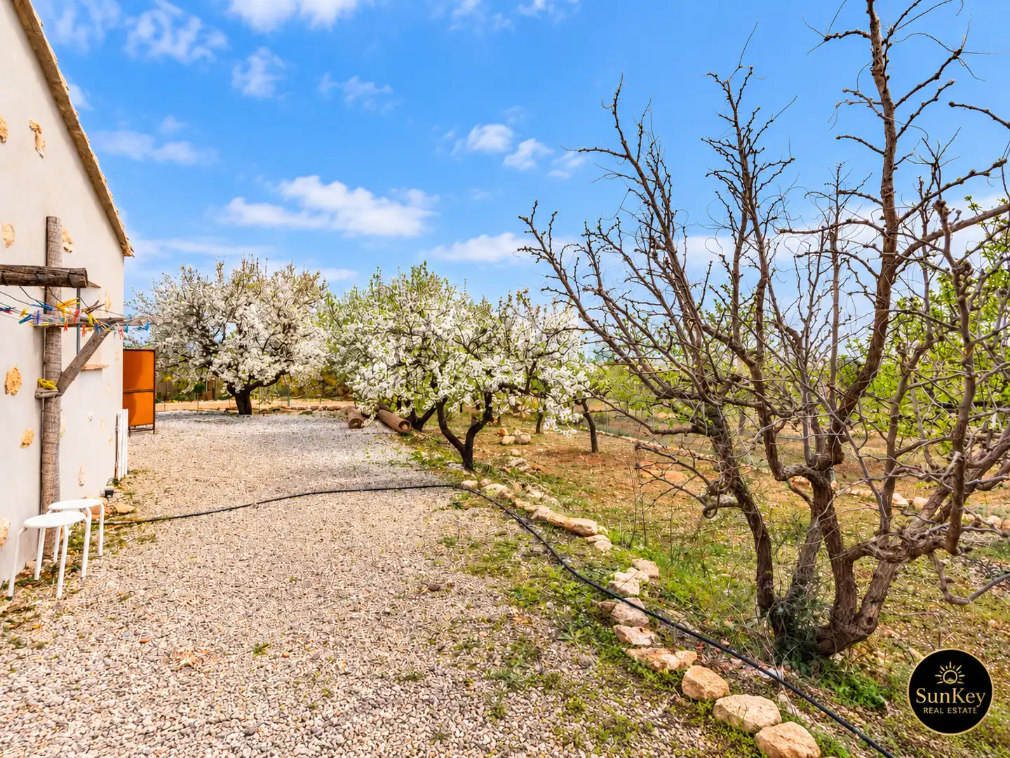 Villa à vendre à Totana, imagen 4