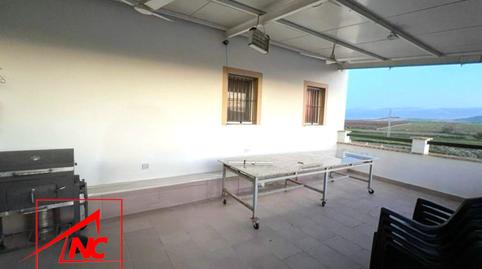 Foto 3 de Finca rústica en venda a Lebrija, Sevilla