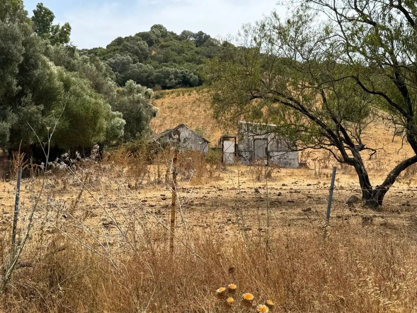 Casa rústica en venta en San Martín del Tesorillo, imagen 16