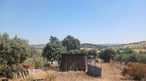 Foto 4 de Casa o xalet en venda a Cr-5021, 642, Brazatortas, Ciudad Real