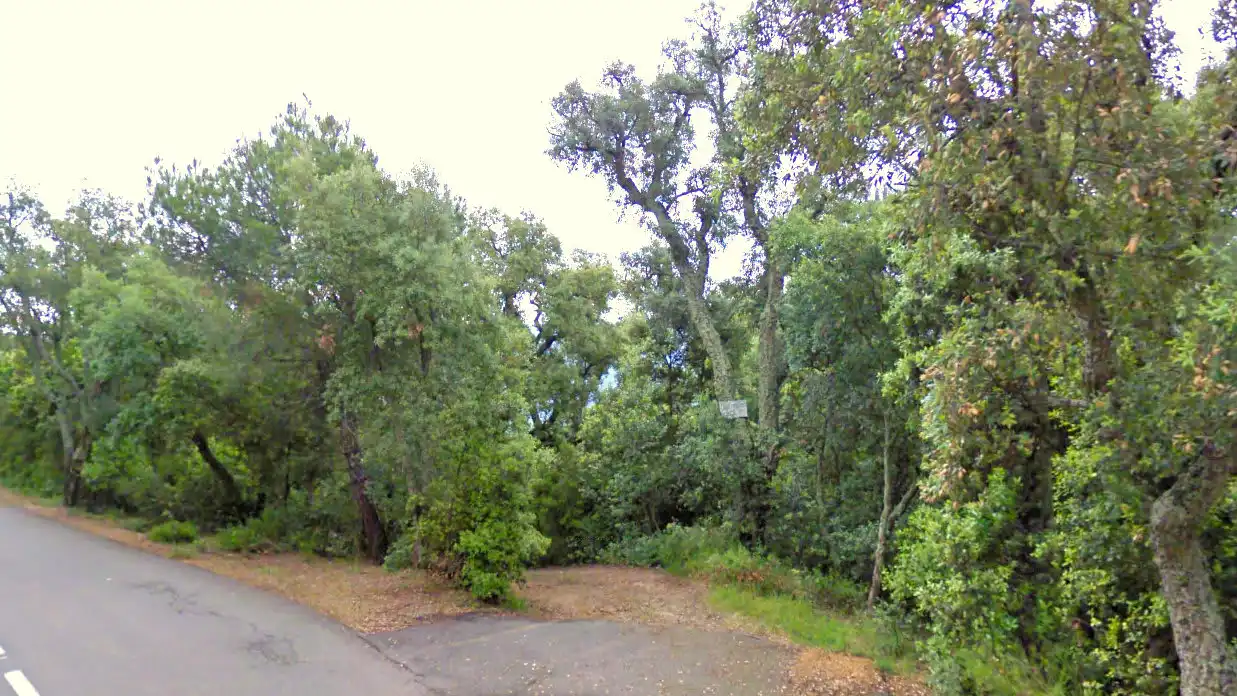 Rural land for sale in Paraje La Corbera, imagen 7
