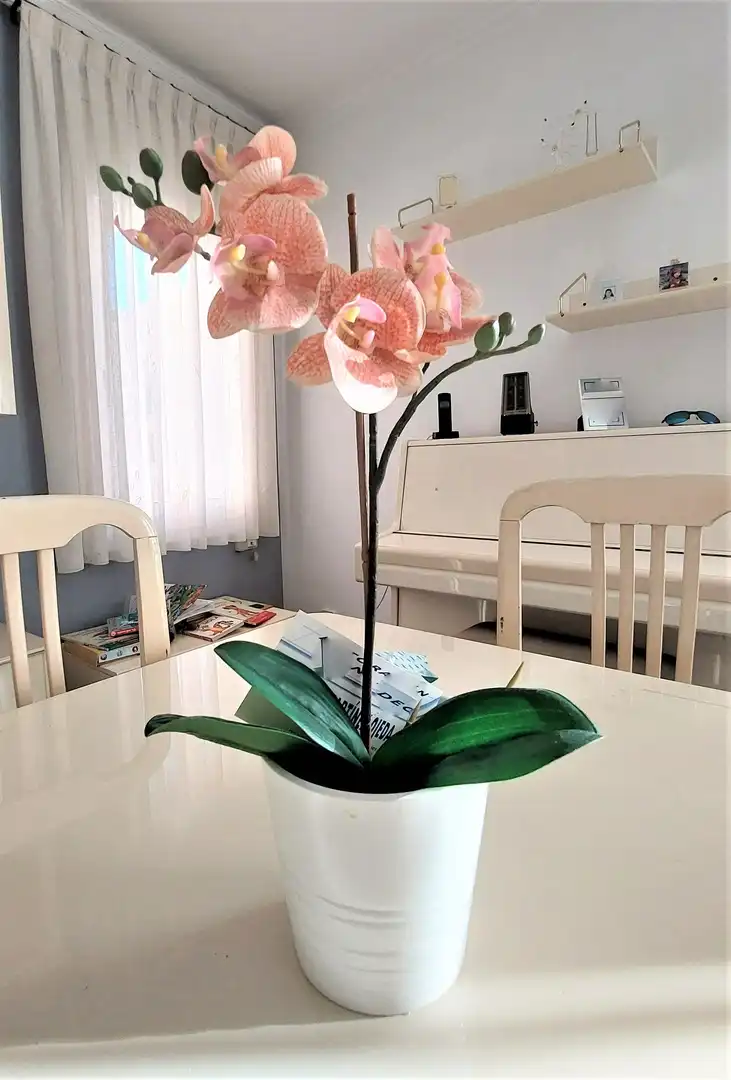 Casa pareada en venta en Carrer de Mossèn Cinto Verdaguer, imagen 10