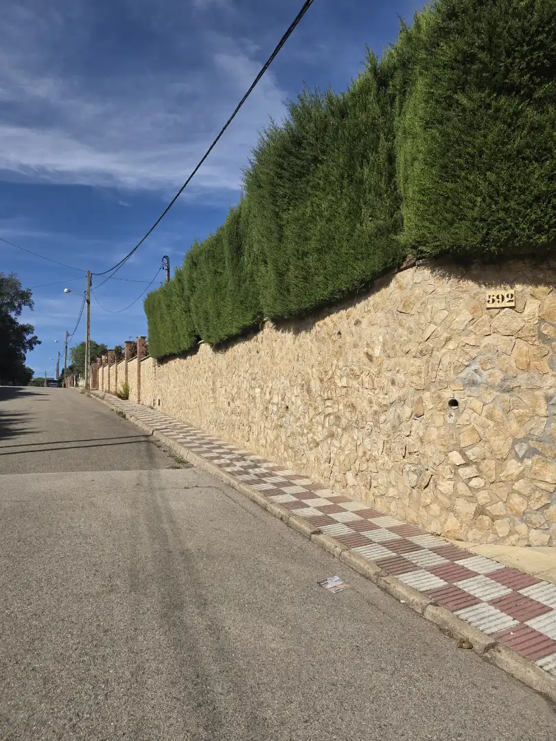 House with terrace for sale in Calle Narcis Monturiol, imagen 3