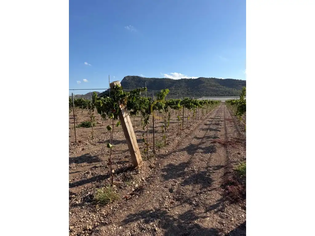 Terreno residencial en venta en Poligono Poligono 34, imagen 15